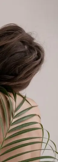 You are currently viewing Monroe Sunshine Coast