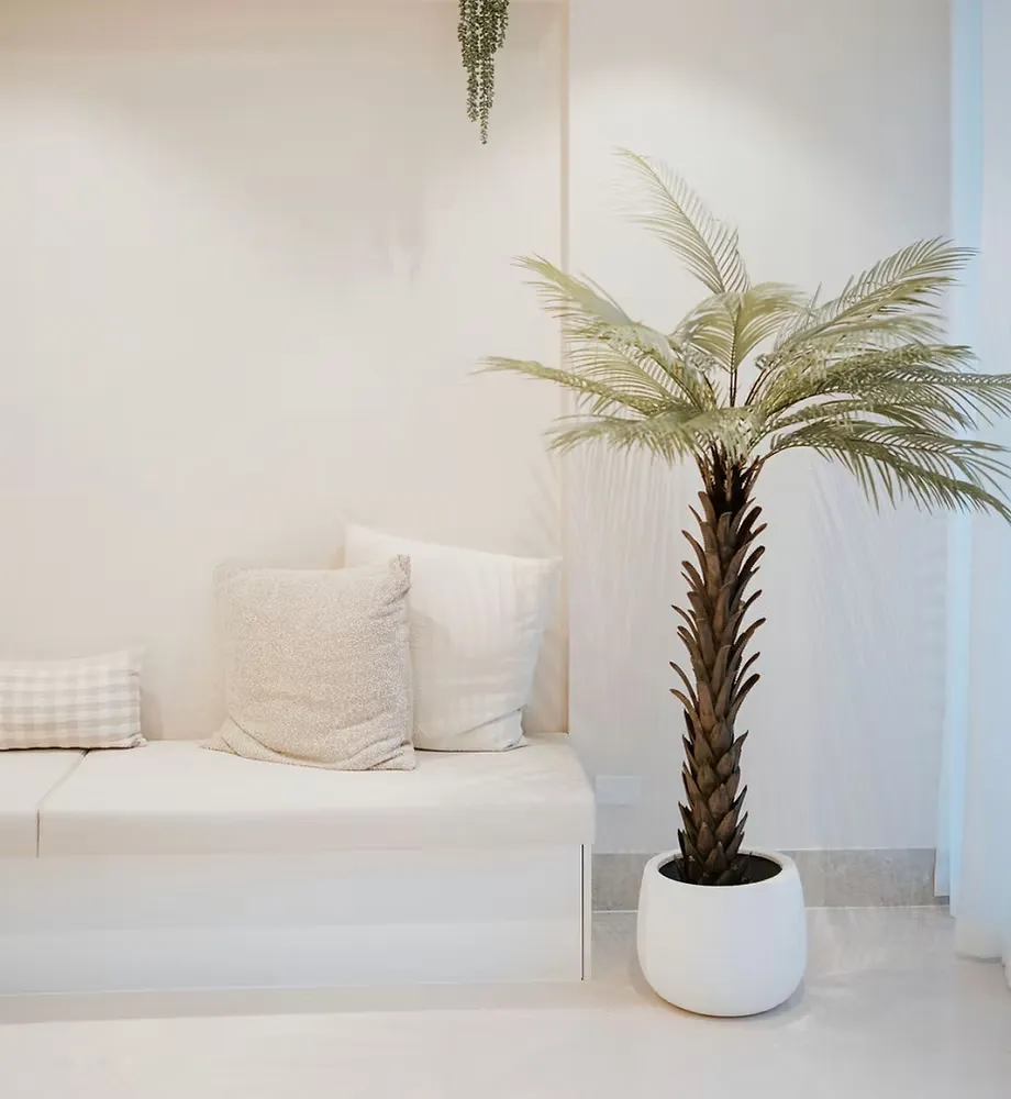 You are currently viewing The Head Spa Studio